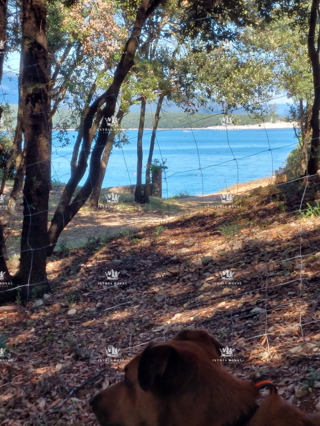 Due lotti arredati con case mobili – a 30 secondi dalla spiaggia – investimento di prima qualità in Istria